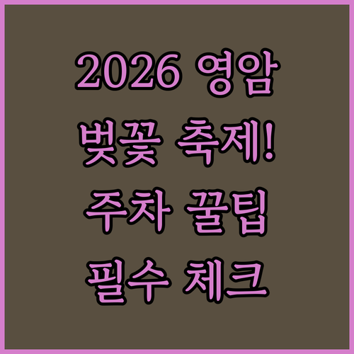 영암 벚꽃 나들이 정보 2026년 축제 기간과 주차 이용 방법