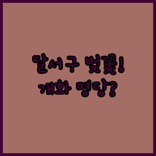 대구 달서구 벚꽃 개화 예상일 및 지역별 만개 시기 분석