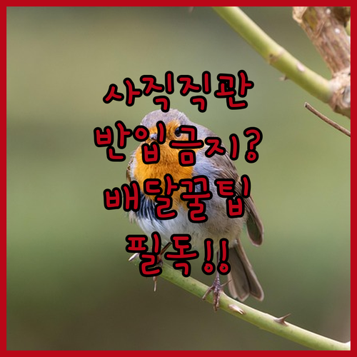 사직야구장 외부 음식 배달 및 반입 가능 여부 상세 정리