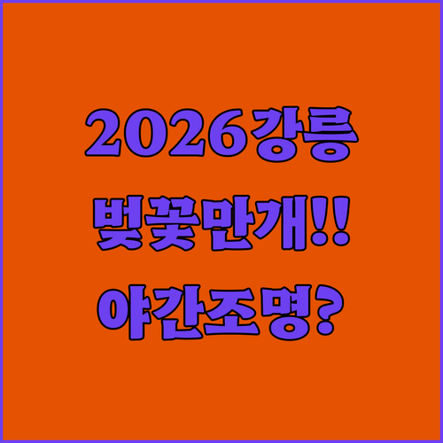 2026년 강릉 벚꽃 만개 날짜와 경포대 축제 야간 조명 일정