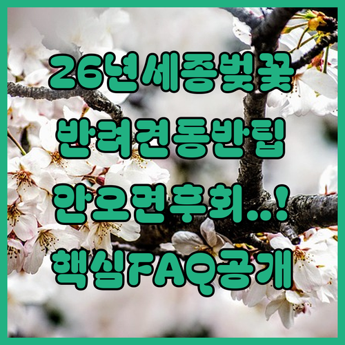 2026년 세종시 벚꽃 축제 자주 묻는 질문과 반려동물 동반 안내