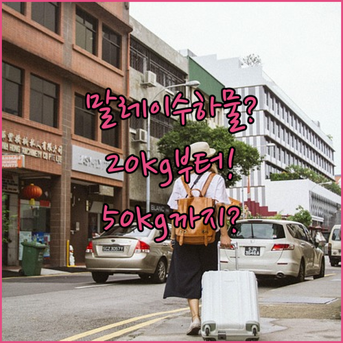 말레이시아항공 위탁수하물, 이코노미 20kg부터 퍼스트 50kg까지