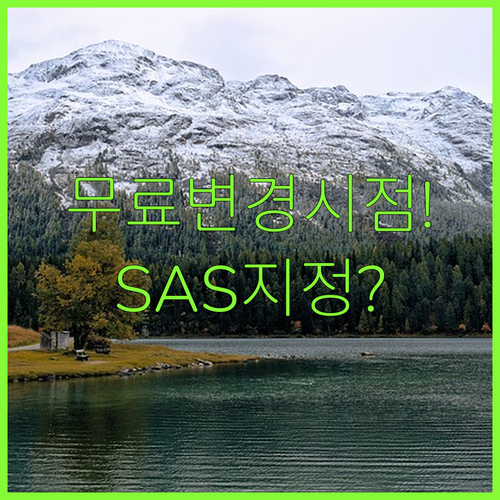 2026년 SAS 좌석 지정 무료 변경 시점과 수수료