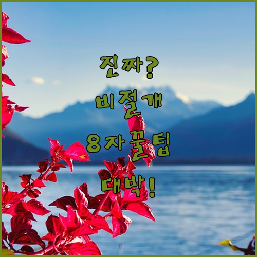 티 안 나는 비절개 모발이식 성공 비법