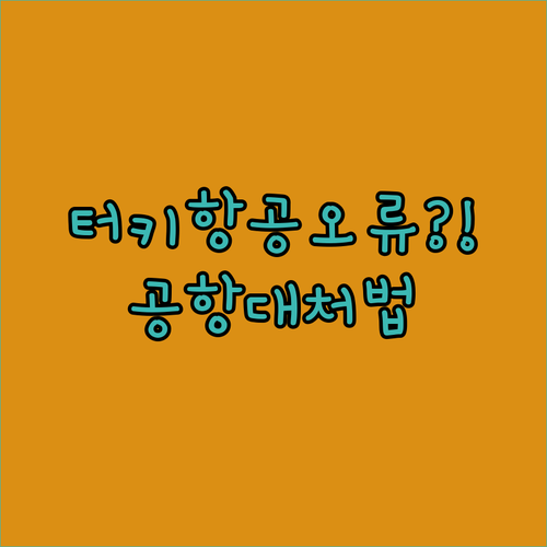 터키항공 홈페이지 체크인 오류 해결과 공항 대처법