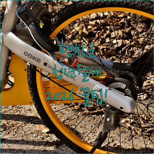 평창군 청년월세 지원 2026년 대상 신청 방법