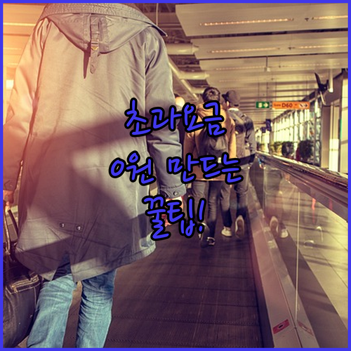 피치항공 수하물 무게 초과 요금 피하는 법