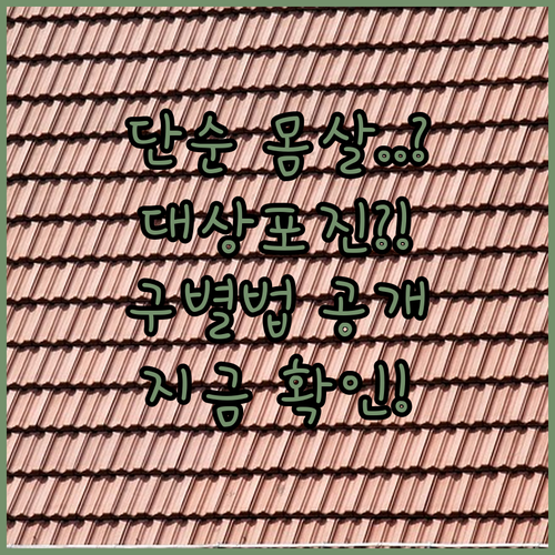심한 몸살 기운 대상포진 초기 증상일까 | 구분법과 예방법