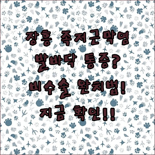 장흥군 족저근막염 잘하는 병원 | 비수술 치료법 및 예방 수칙