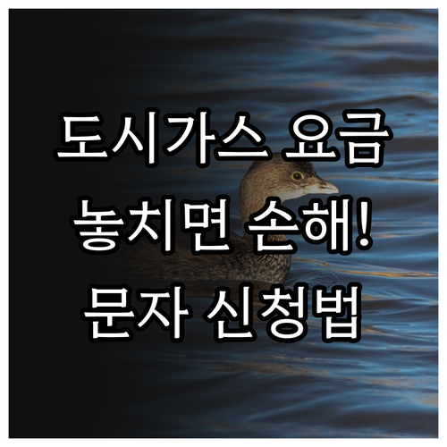 image 6e656f99