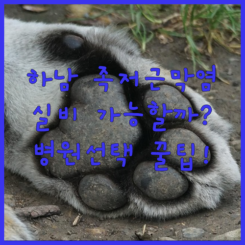image 932324e5