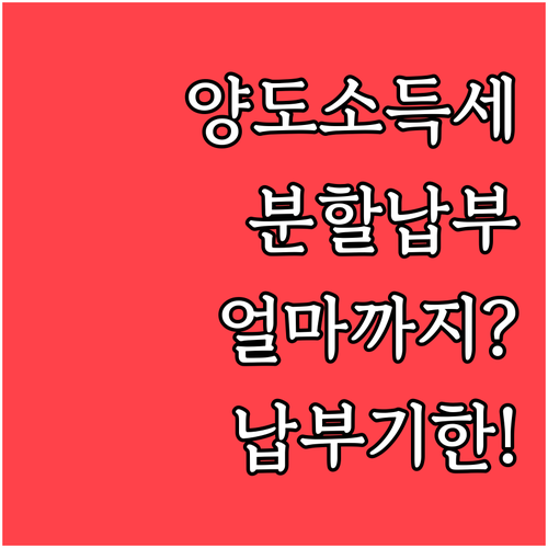 양도소득세 분할 납부 금액과 납부기한