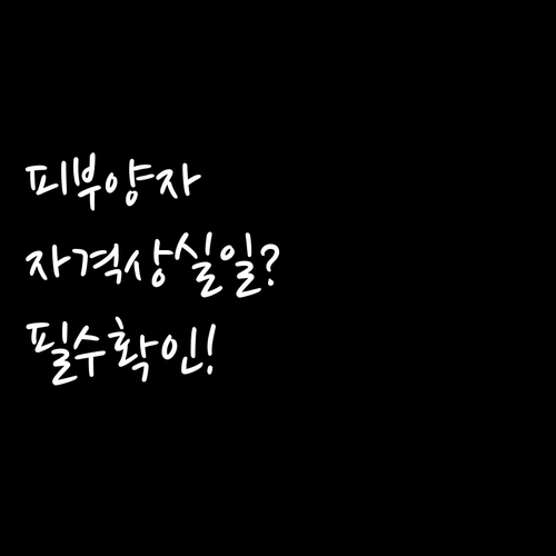 건강보험 피부양자 자격 상실일과 자격 변동 사유 확인