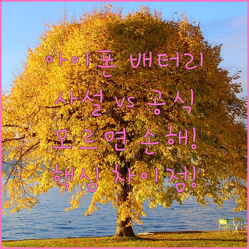 image 7d46c5d9