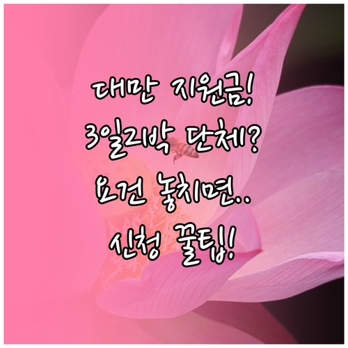 대만여행 지원금 3일 2박 단체 요건과 신청 절차