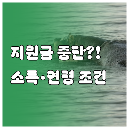 한부모가족 지원금 중단 사유, 소득 기준과 자녀 연령 조건