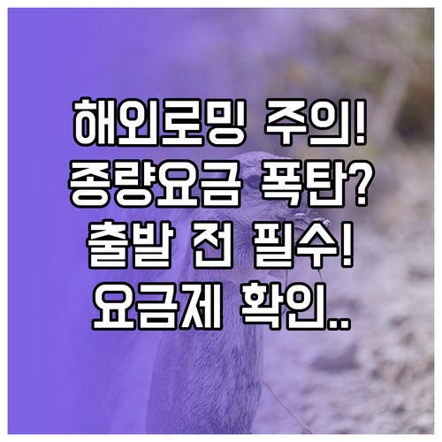 해외 로밍 종량 요금 주의, 출발 전 요금제 가입 확인 방법